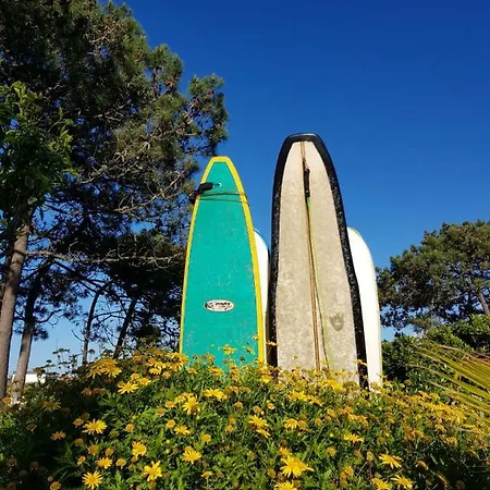 Santa Cruz Surfhouse Shared-room Πανσιόν