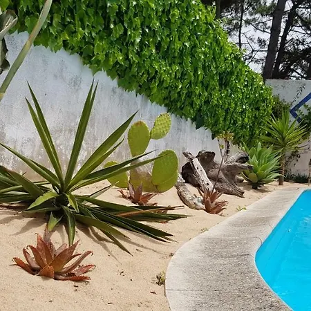 Santa Cruz Surfhouse Shared-room