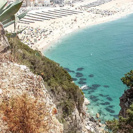 Santa Cruz Surfhouse Shared-room Πανσιόν